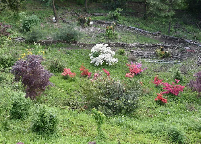 Battle Of Britain Hotel 2*